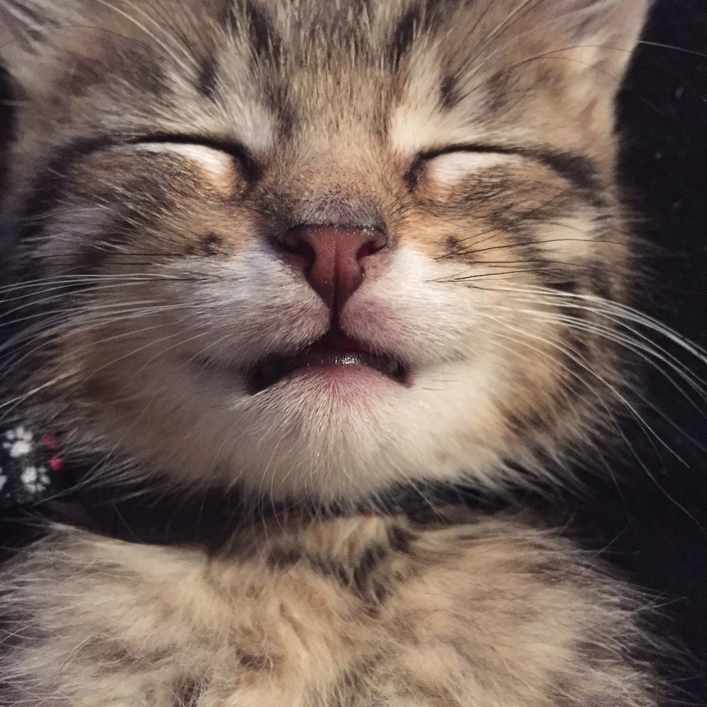 Meet your Posher, Adriana